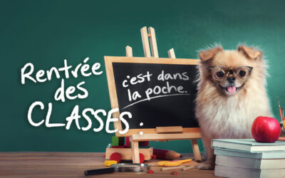 RENDEZ LA RENTRÉE SCOLAIRE PLUS AGRÉABLE AVEC AXPOL TRADING !